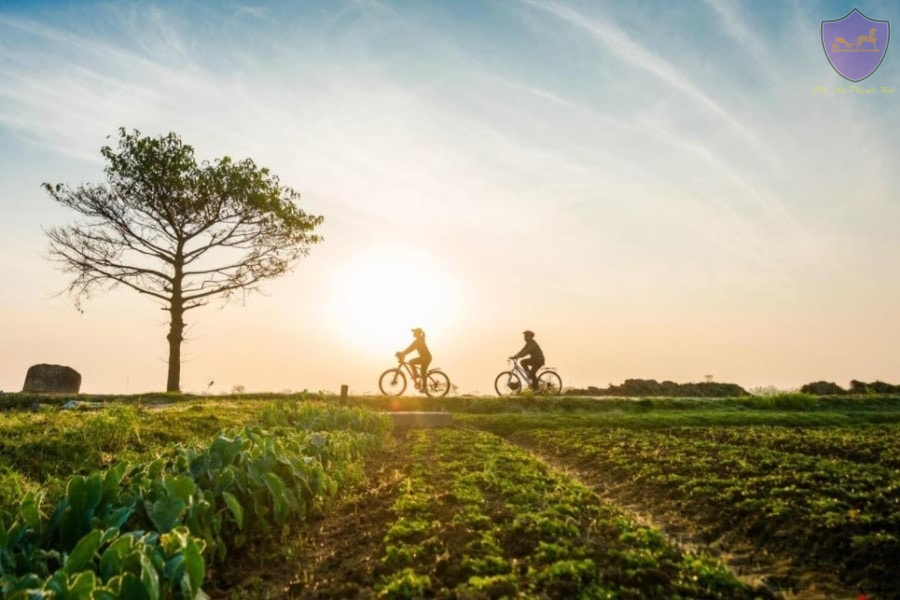 Central Vietnam Bicycle Tour Da Nang, Hoian, My Son 3 Days